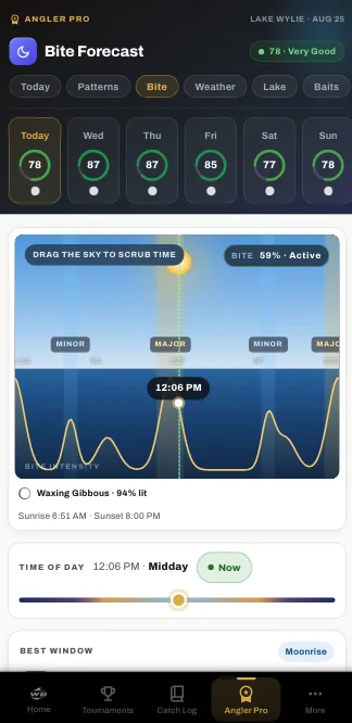 Angler Pro on Lake Wylie — the day's bite forecast, with the solunar windows drawn on a sky you can scrub